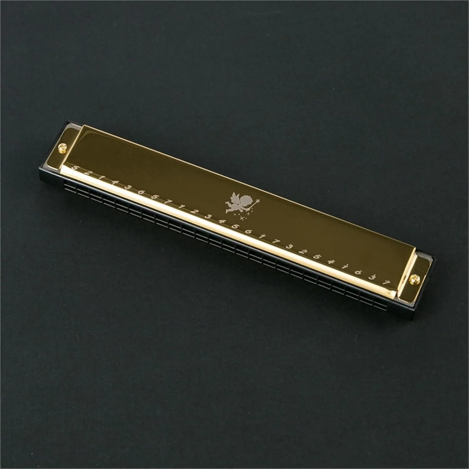 24 Hole Polyphonic C Harmonica Full Scale Professional Performance(Gold)