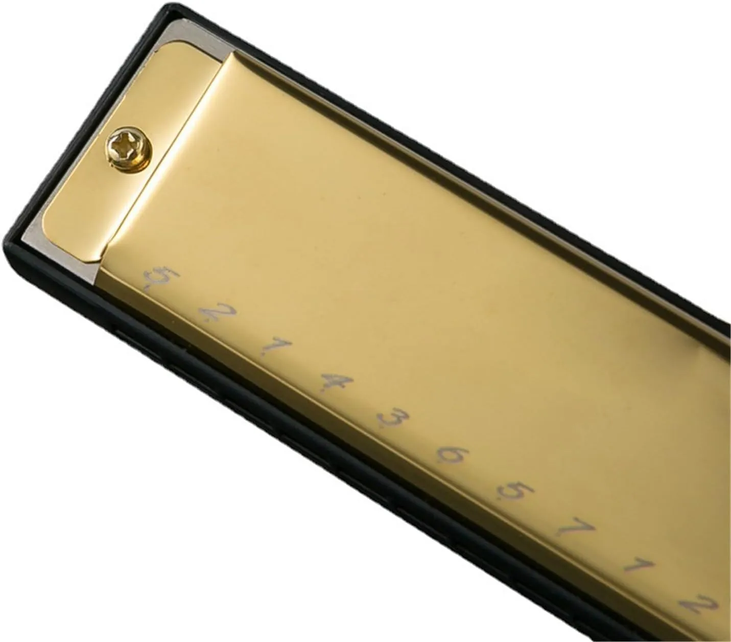 24 Hole Polyphonic C Harmonica Full Scale Professional Performance(Gold)