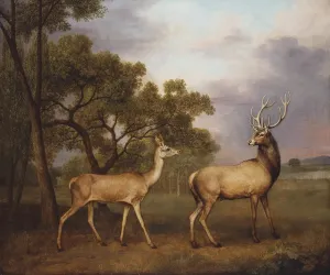A Red Deer Buck and a Doe Stag and a Hind 1792 Animal Painting By George Stubbs Repro on Matte Paper 11" X 14" Image Size