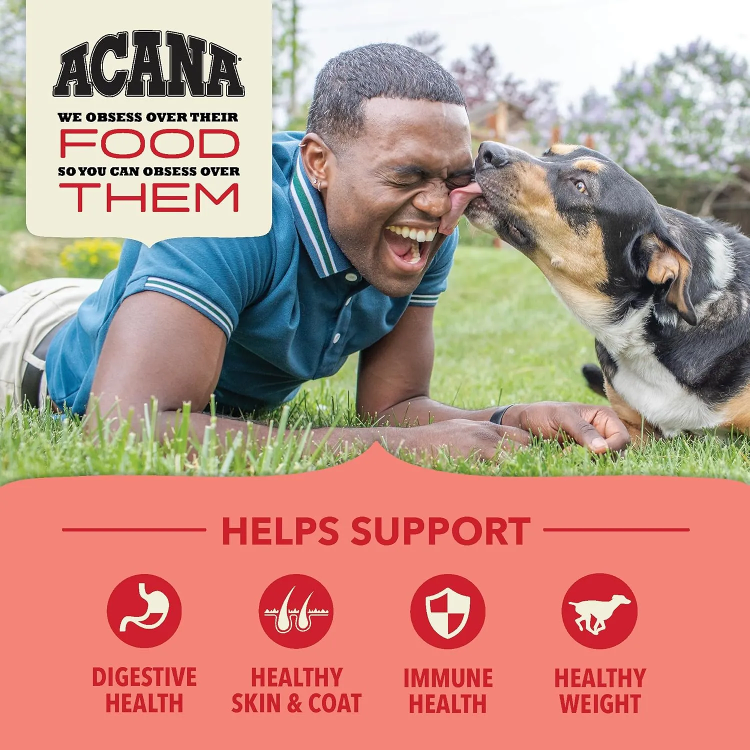 ACANA Wholesome Grains Dry Dog Food, Red Meat and Grains, Gluten Free, Beef, Pork, and Lamb Recipe, 22.5lb