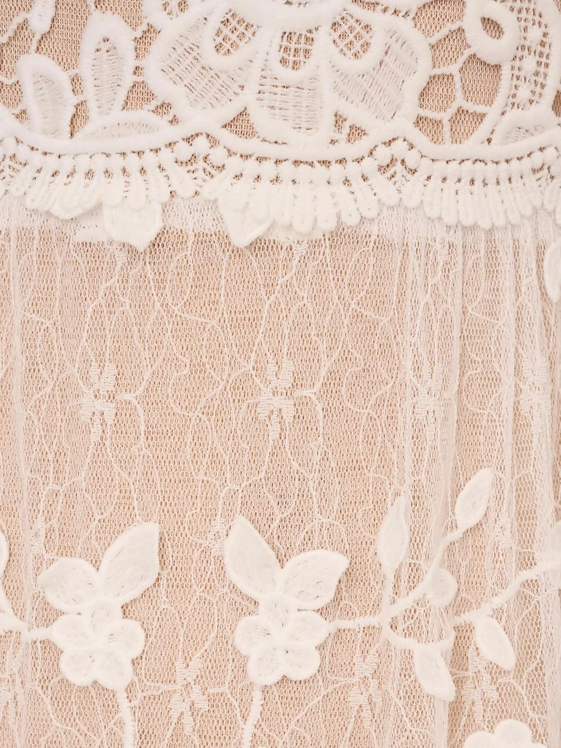 Adrianna Papell Women's Lace Embroidery Dress