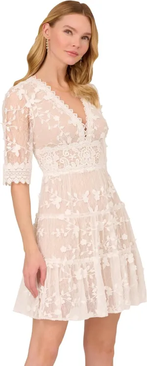 Adrianna Papell Women's Lace Embroidery Dress