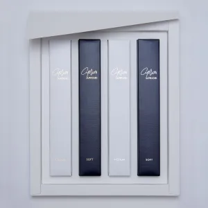 APRIORI 4-Piece Signature Series Set of Toothbrushes
