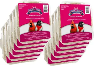 Armstrong Wild Bird Food Berry Supreme Suet Cake, 10.6 Ounces (Pack of 12) - with Cut Corn, Rendered Beef Fat, Peanut Meal and Raisins for Northern Cardinals, Grosbeaks, Blue Jays and Woodpeckers