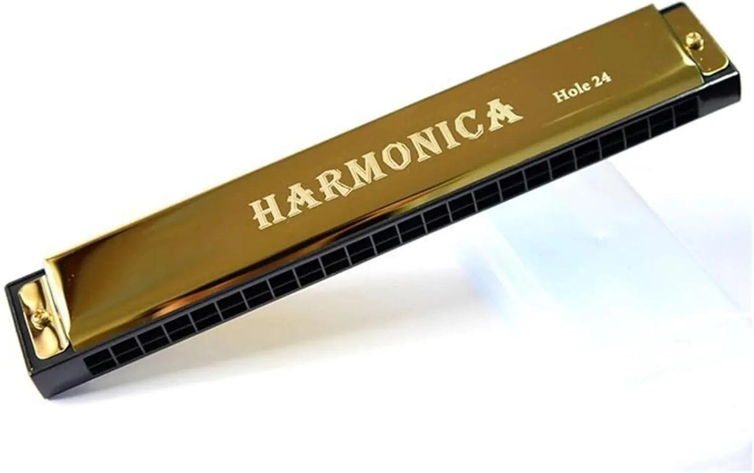 Beginners 24 Hole Harmonica C Key With Case(Gold)