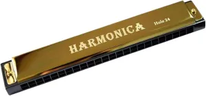 Beginners 24 Hole Harmonica C Key With Case(Gold)