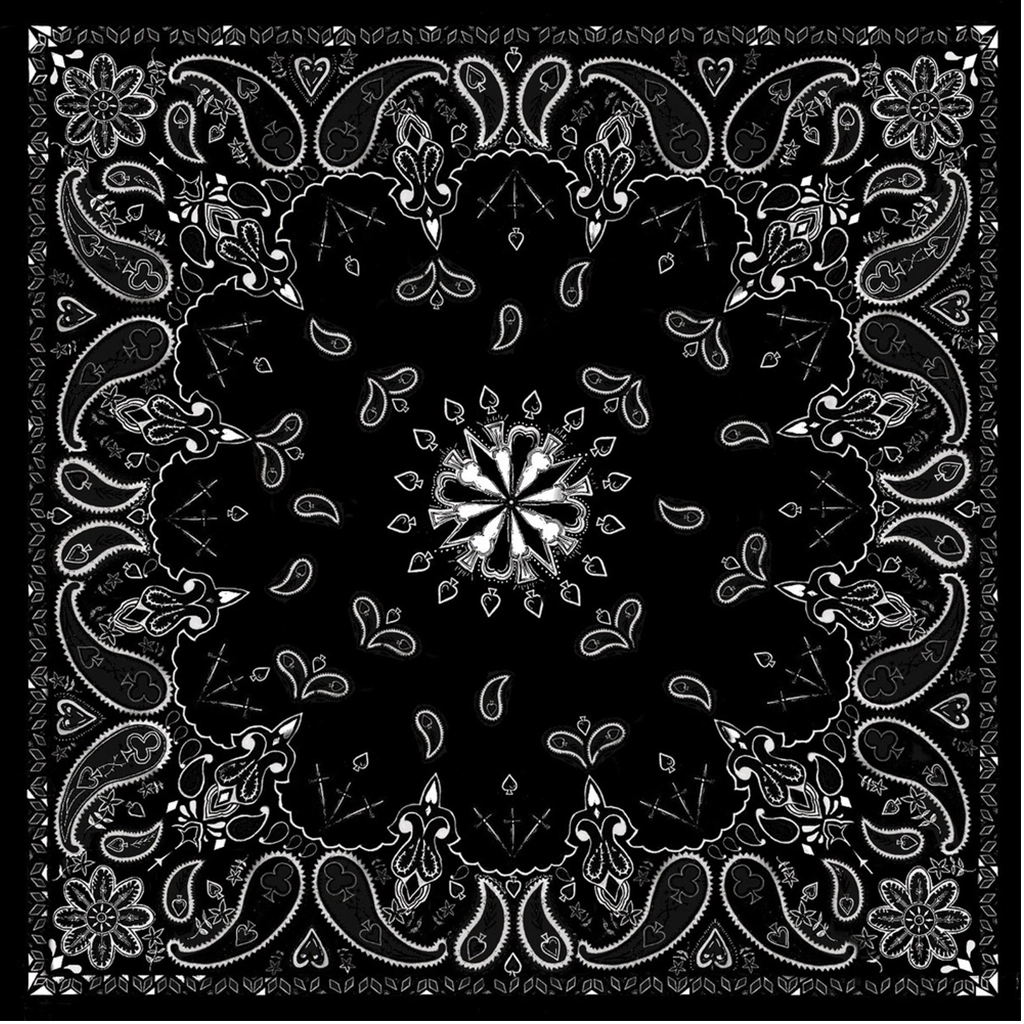 Black & White Paisley Bandanna