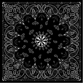 Black & White Paisley Bandanna