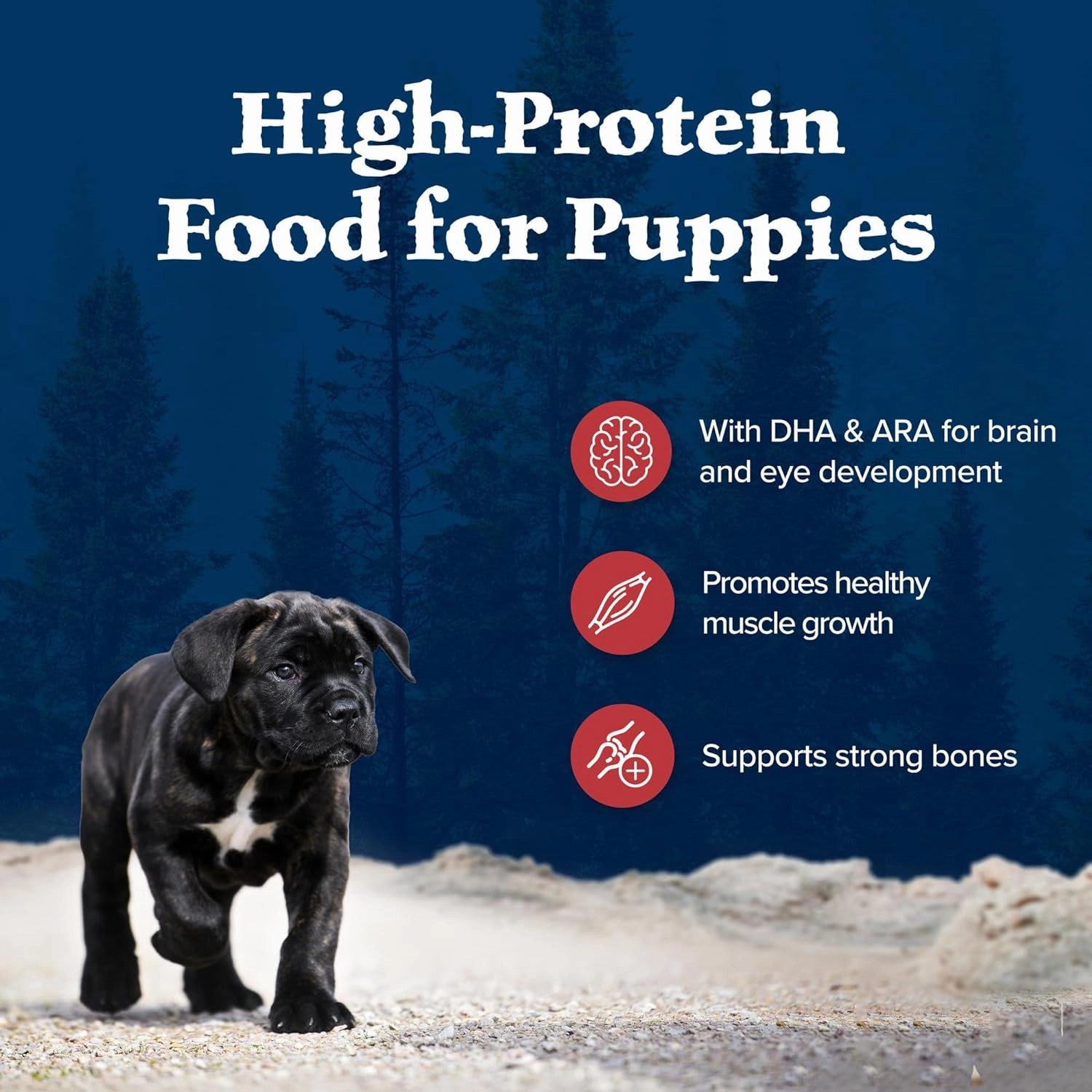 Blue Buffalo Wilderness High-Protein Rocky Mountain Recipe Dry Food for Puppies, Red Meat & Grains, 4.5-lb. Bag