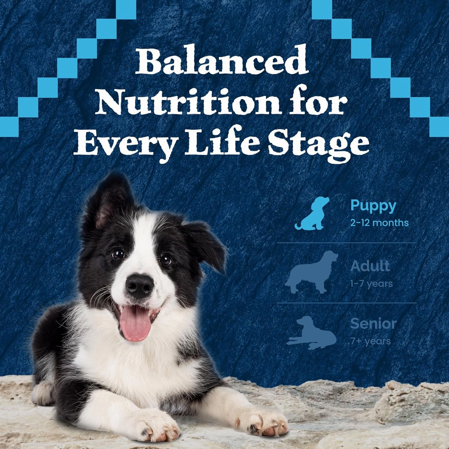 Blue Buffalo Wilderness High-Protein Rocky Mountain Recipe Dry Food for Puppies, Red Meat & Grains, 4.5-lb. Bag