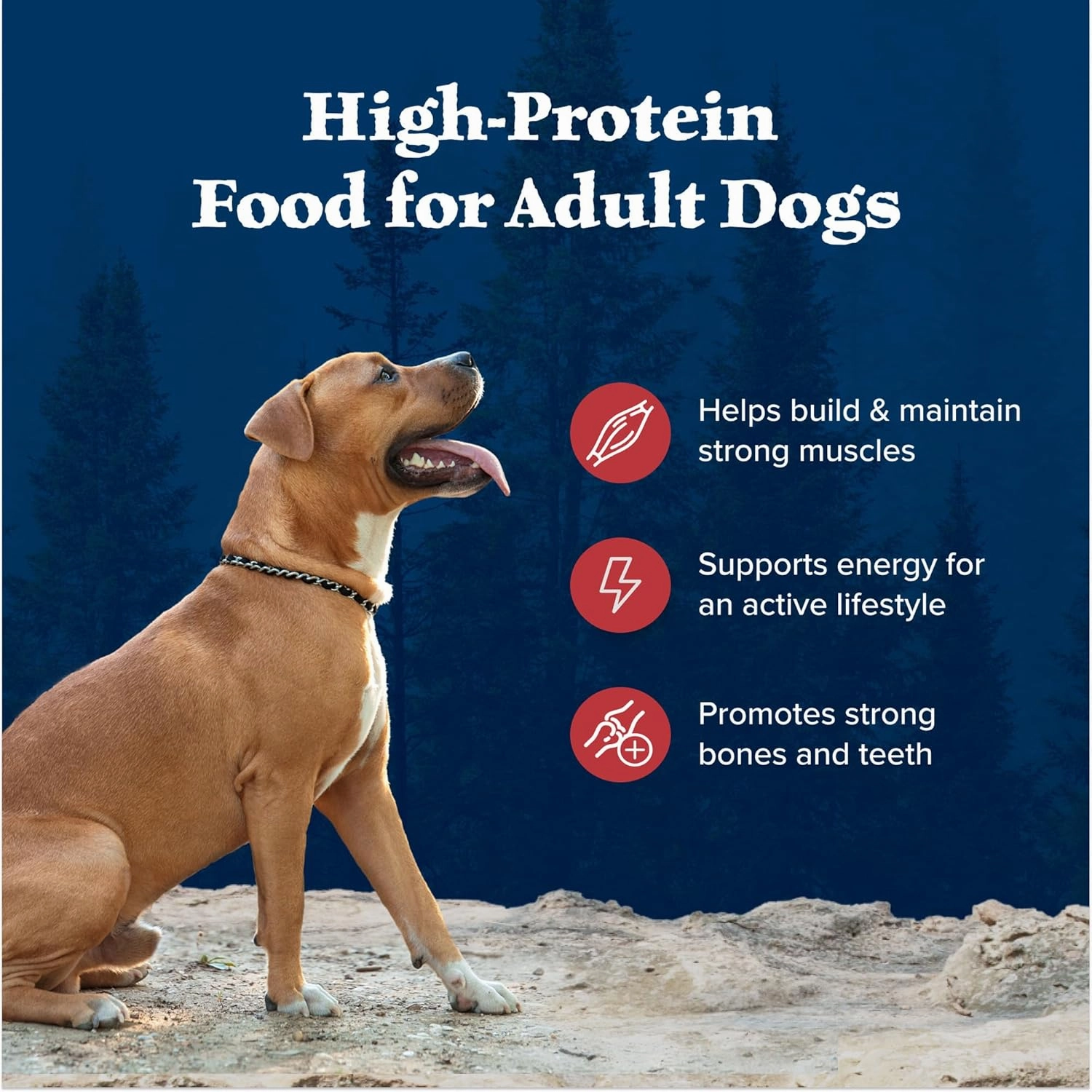 Blue Buffalo Wilderness Rocky Mountain Recipe High-Protein Adult Dry Dog Food Wholesome Red Meat
