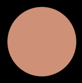 Blush Makeup Cosmetics Liquid Velvet Lipstick