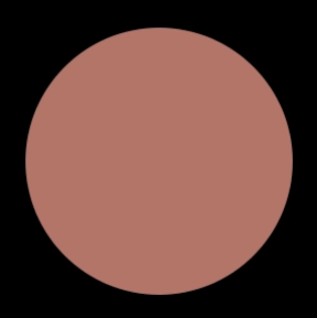 Blush Makeup Cosmetics Liquid Velvet Lipstick