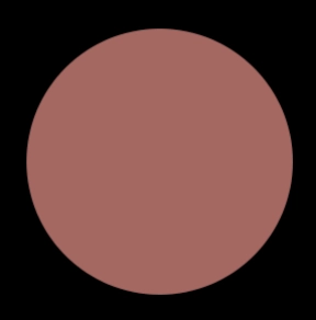 Blush Makeup Cosmetics Liquid Velvet Lipstick
