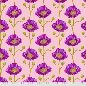 Bright Eyes by Anna Marie Horner - PWAH154.BLUSH - Cheering Section - Blush