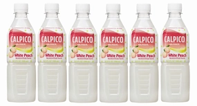 CALPICO White Peach, Non-Carbonated Drink, Japanese Beverage Contains Peach Juice Concentrate, Sweet and Tangy Asian Drink, 16.9 FL oz. (Pack of 6)