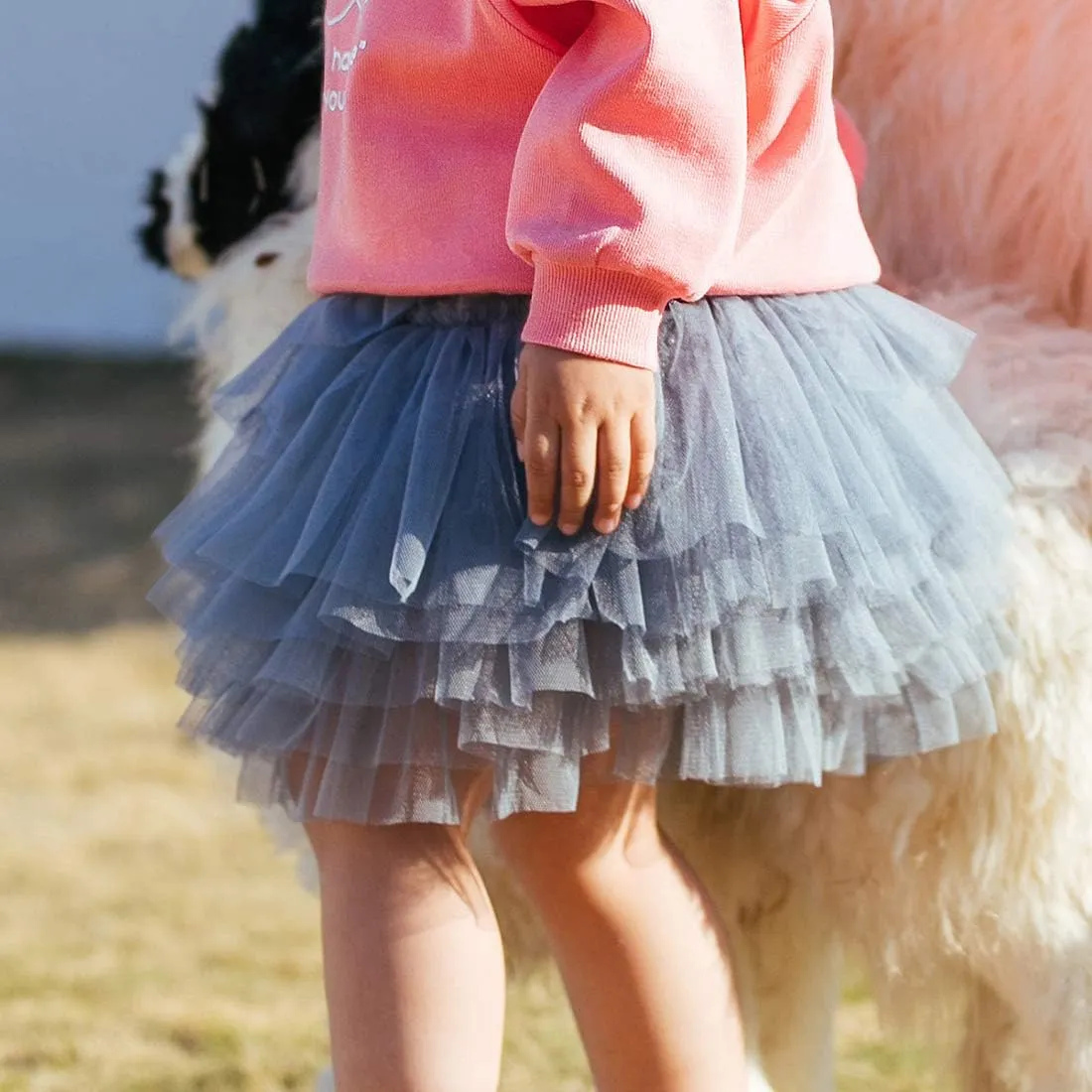 Colorful Childhood Baby Girls' Tutu Skirt Toddler 6 Layered Tulle Tutus 1-8T
