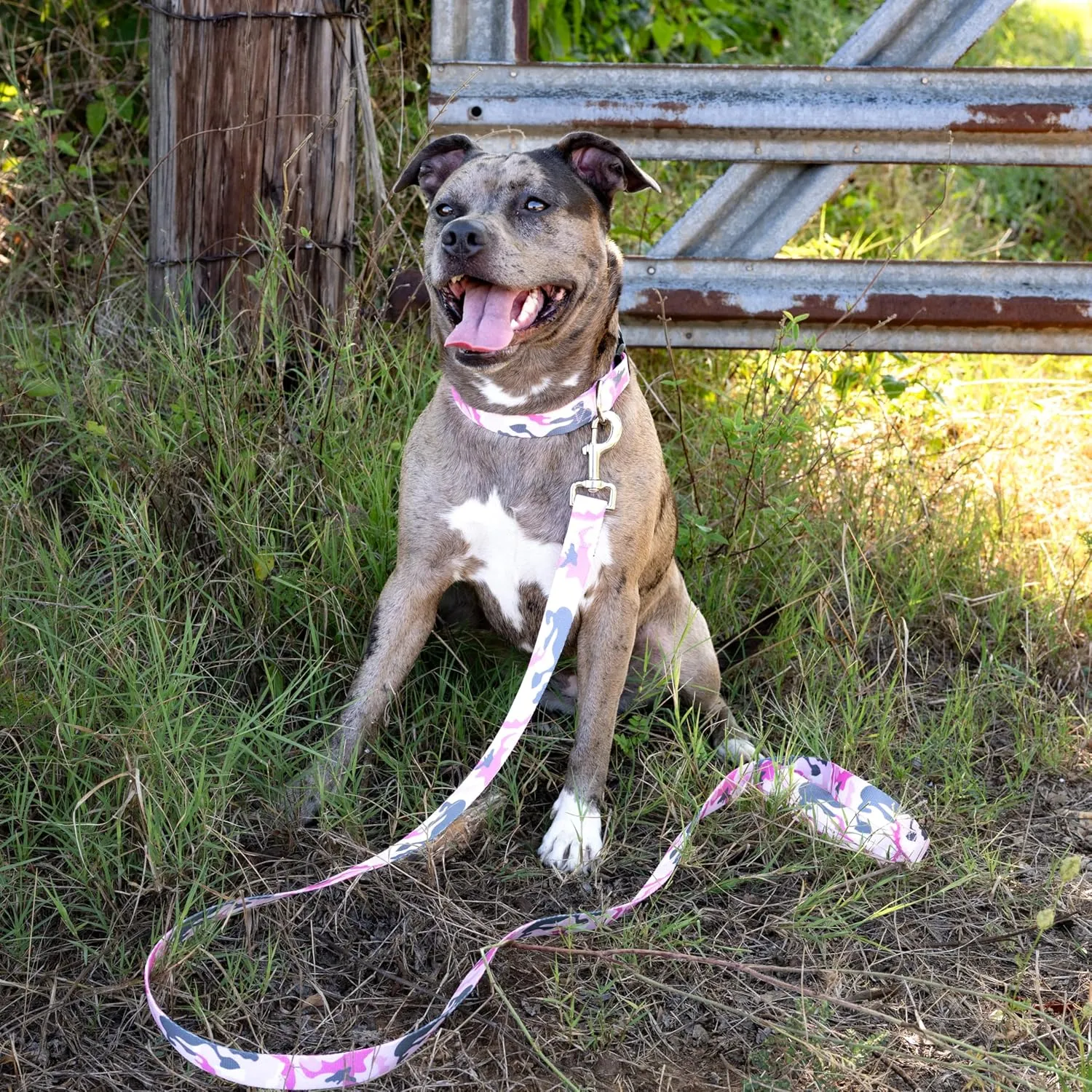 Country Brook Petz - Deluxe Pink and Grey Camo Dog Collar and Leash - Camouflage Collection Featuring Rugged Designs (5/8 Inch, Small)