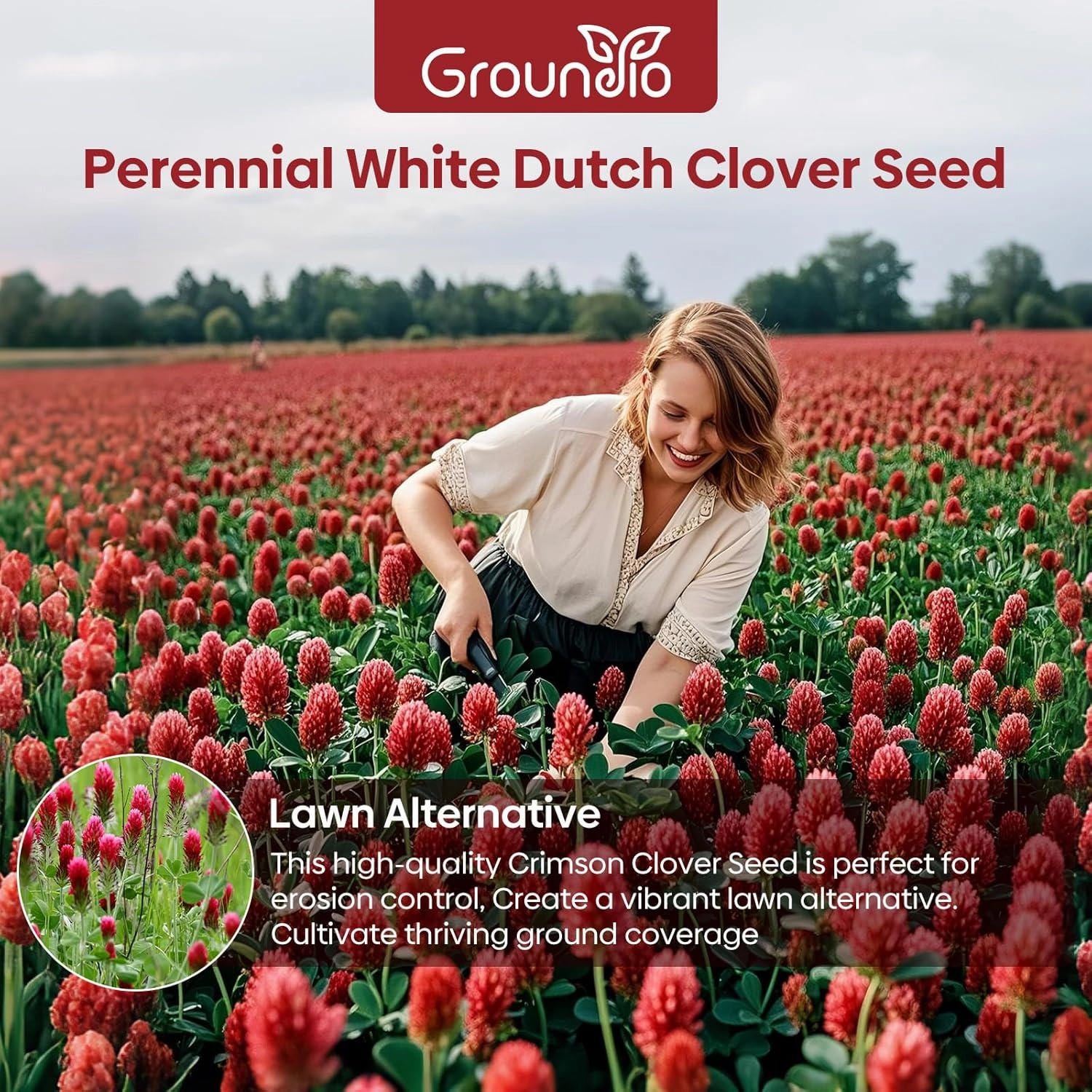Crimson Clover Seeds, 5 lbs, Annual Red Clover Seeds for Lawn Alternative, Attracts Pollinators, Nitrocoated and Inoculated Seeds