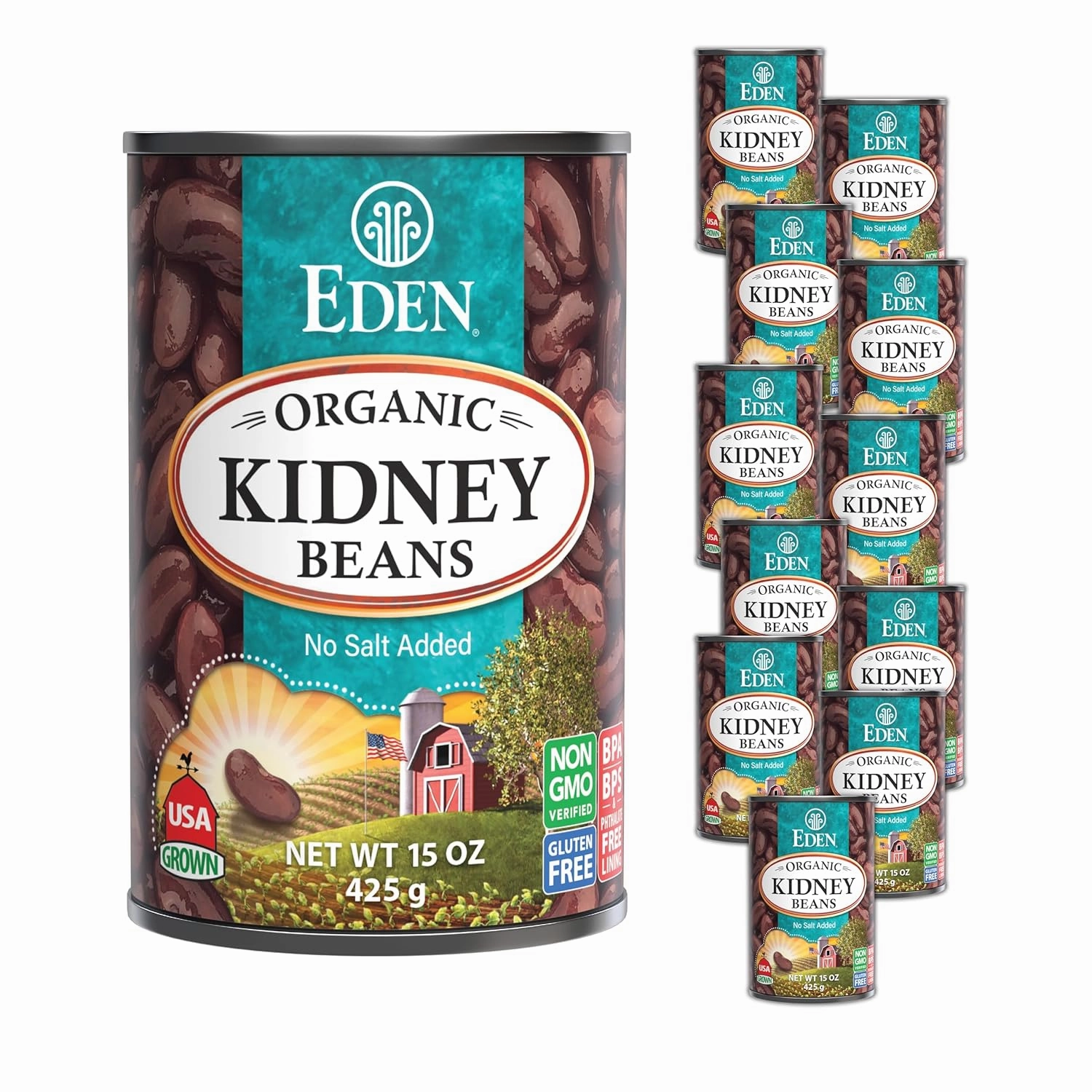 Eden Organic Red Kidney Beans, 15 oz Can, No Salt Added, Non-GMO, U.S. Grown, Heat and Serve, Macrobiotic, Red Beans (12-Pack)