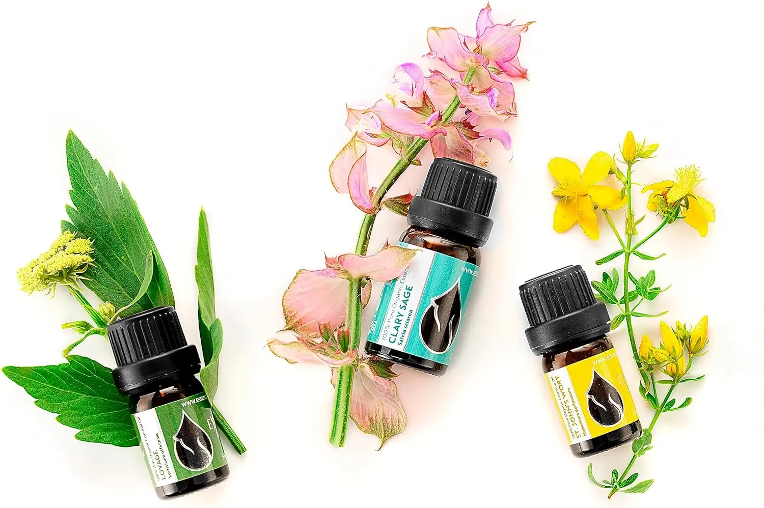 Essences Bulgaria Organic St. John's Wort Essential Oil 1/3 Fl Oz | 10ml | Hypericum perforatum | 100% Pure and Natural | Undiluted | Therapeutic Grade | Family Owned Farm | Steam-Distilled | Non-GMO