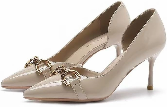 Fairy windside high Heels for Women Four Seasons Pointy Stiletto Heels for Women (Nude/2.8 Inches, Adult, Women, 6, Numeric, US Footwear Size System, Medium)