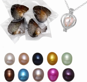 Freshwater Pearl Oyster Cultured Love Wish Round Pearls Various Shining Meaningful Color, Oysters with Pearls Inside with DIY Necklace Pearl Kit Gift for Women