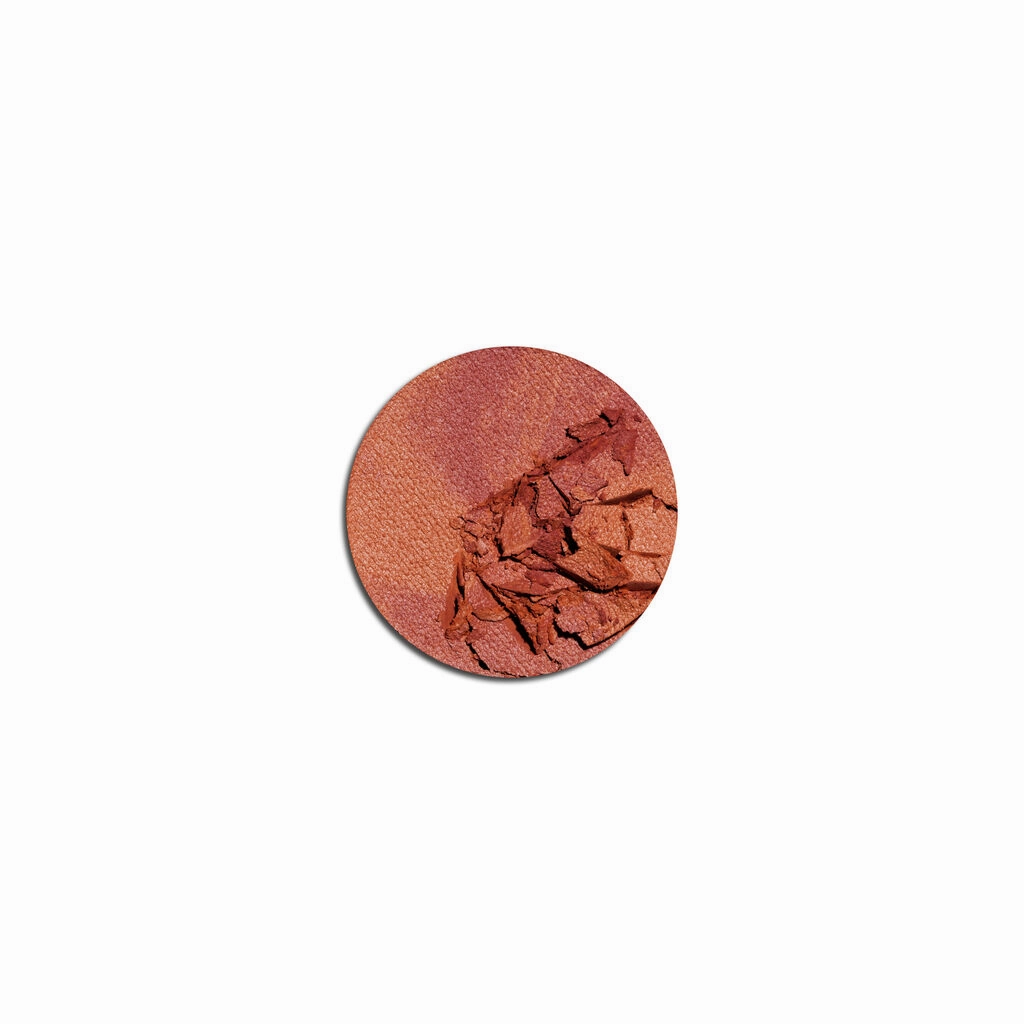 GloWish Cheeky Vegan Blush Powder