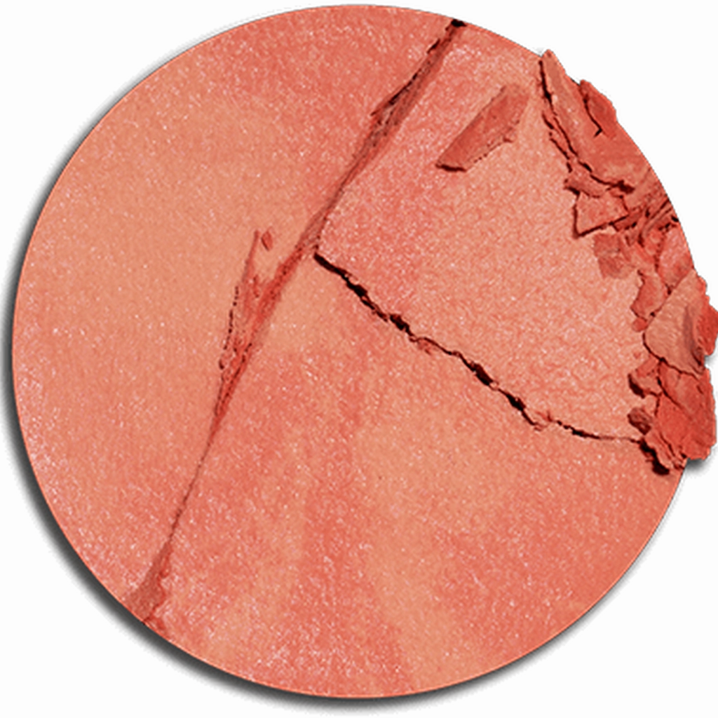 GloWish Cheeky Vegan Blush Powder