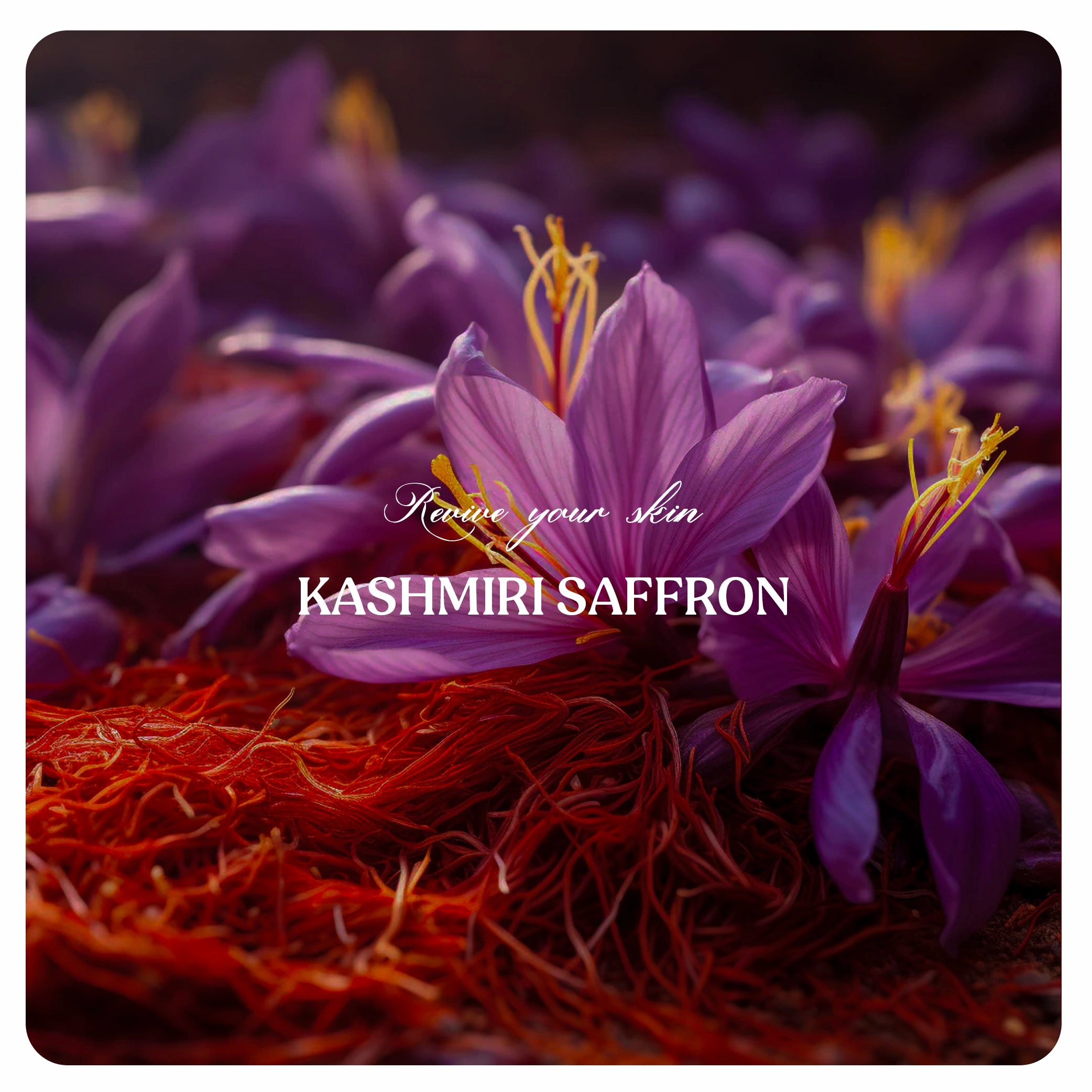 Kashmiri Saffron Brightening Face mask