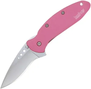 Kershaw Chive Pink Pocket Knife, 1.9" 420HC Steel Blade, 410 Stainless Steel Handle, Assisted Opening with Flipper, Small EDC