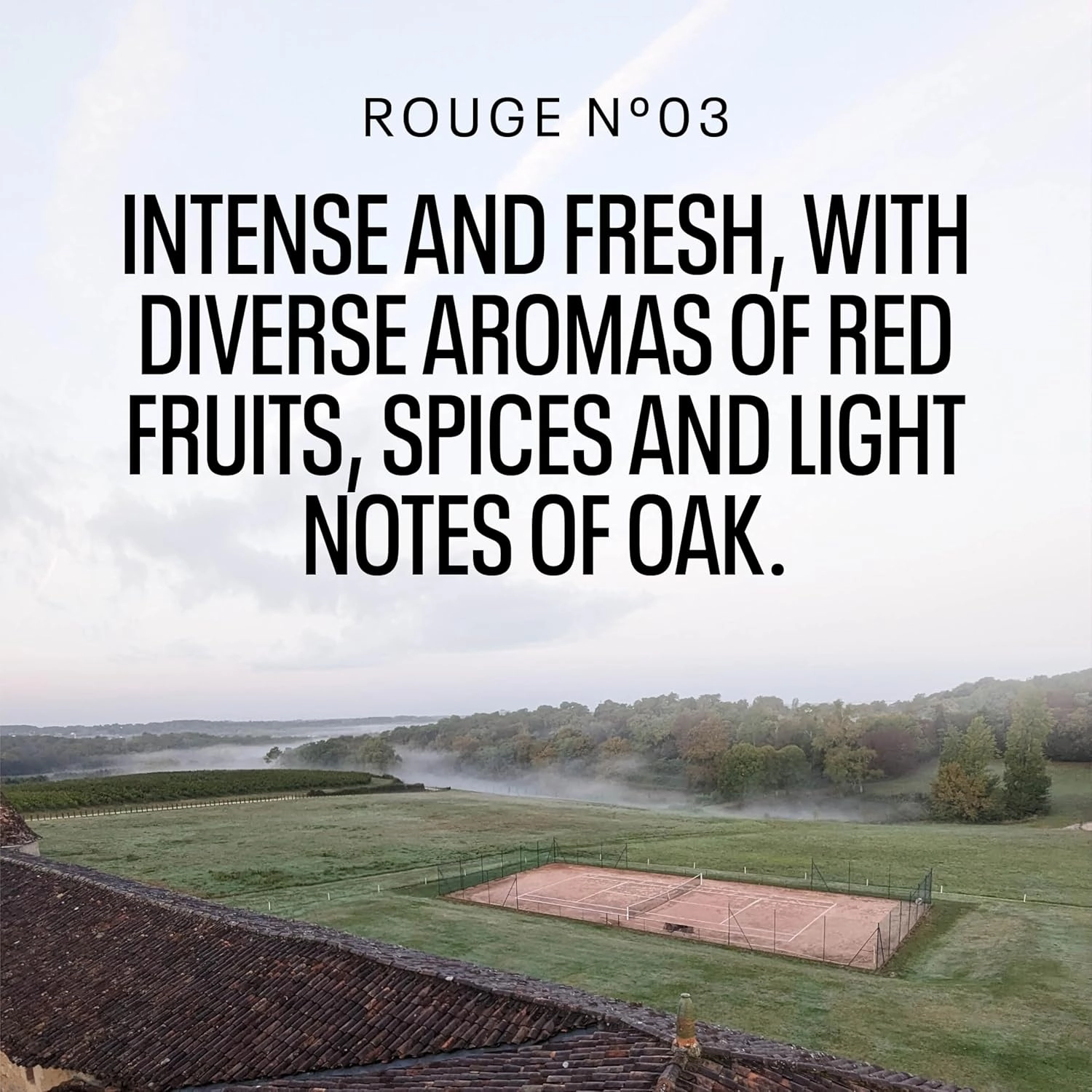 Kolonne Null Cuvee Rouge No. 3, Non-Alcoholic Red Wine | Red Fruits, Spices, and Light Oak | Dealcoholized with Grapes from France 25.4 fl oz (750 ml)