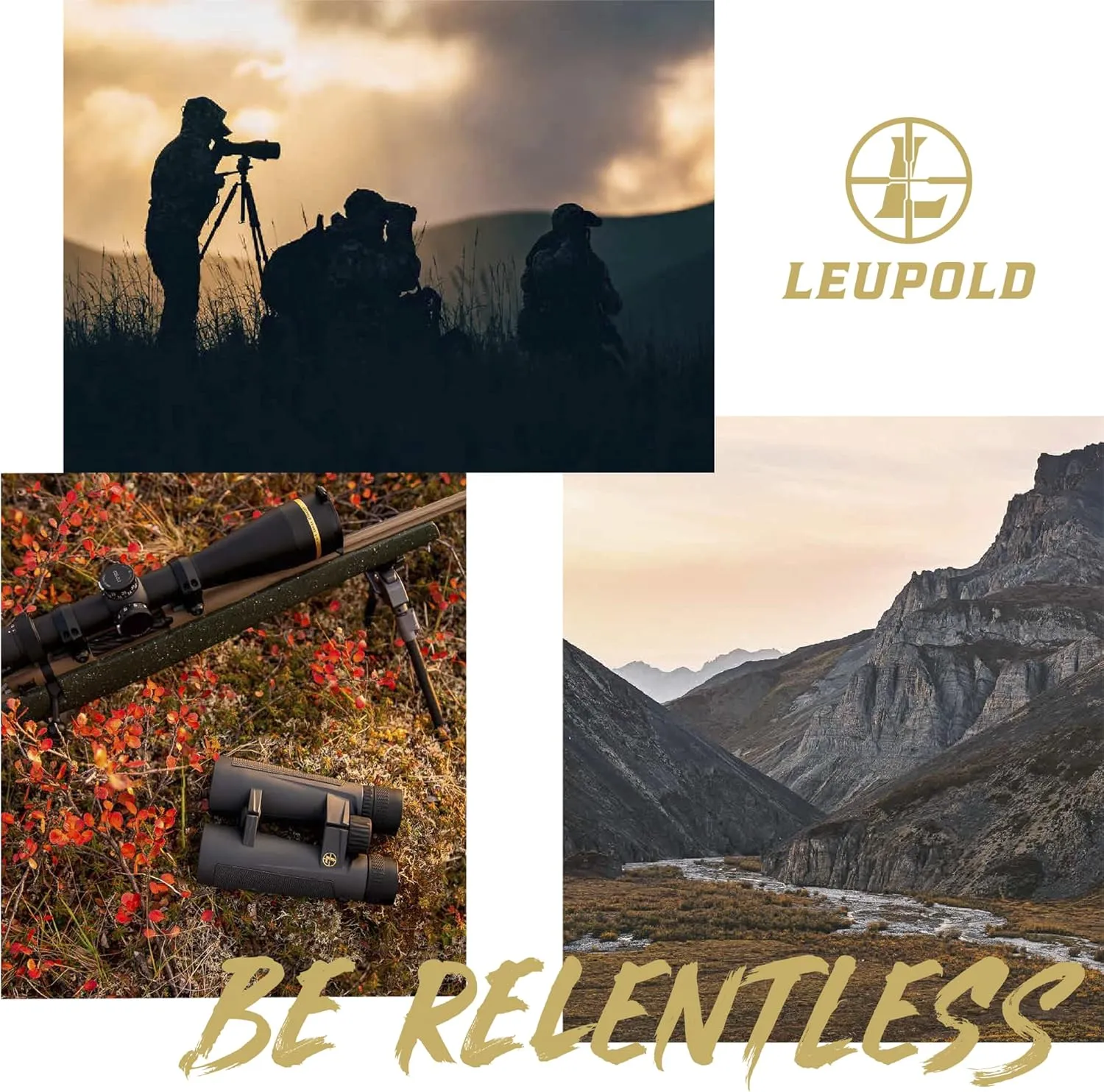 Leupold DeltaPoint Pro Reflex Sight