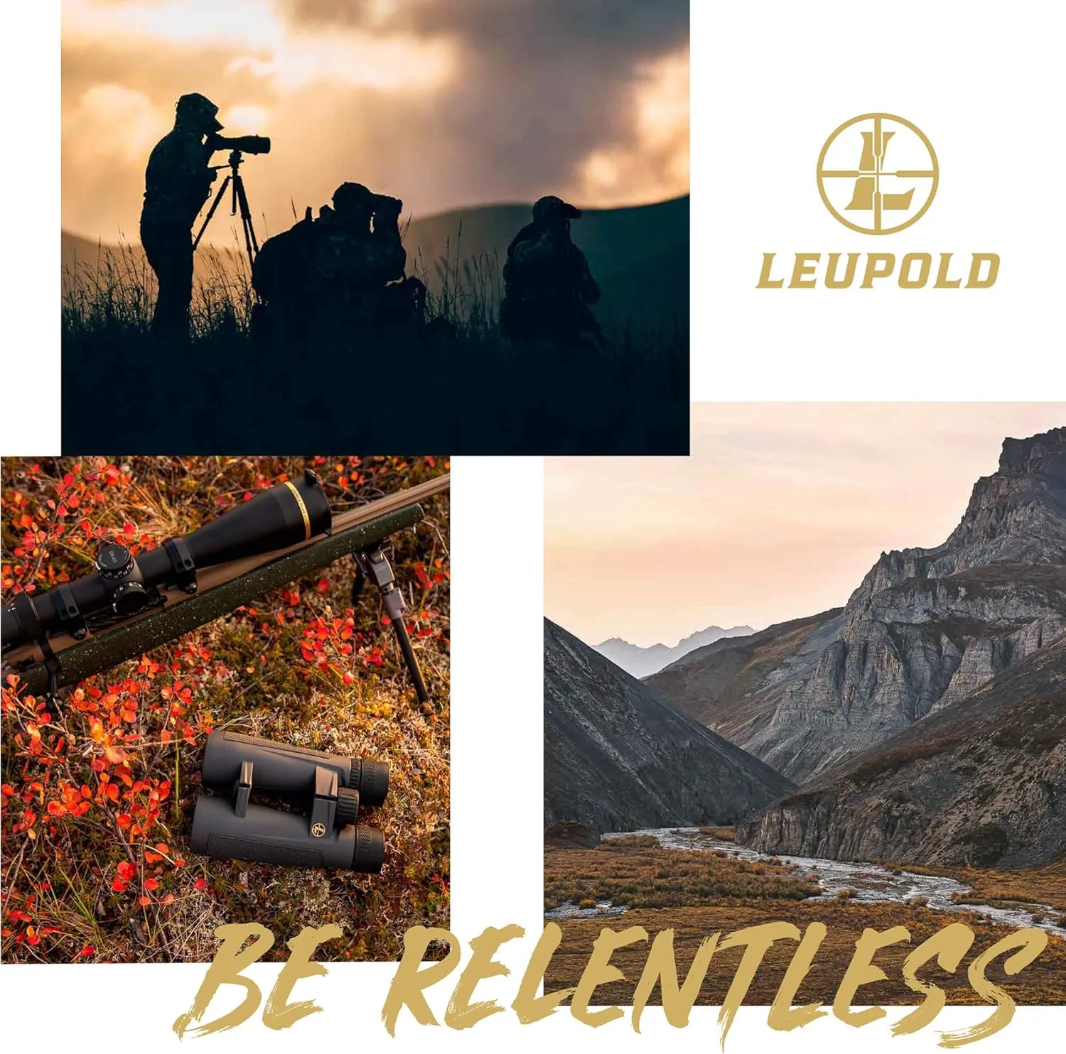 Leupold DeltaPoint Pro Reflex Sight