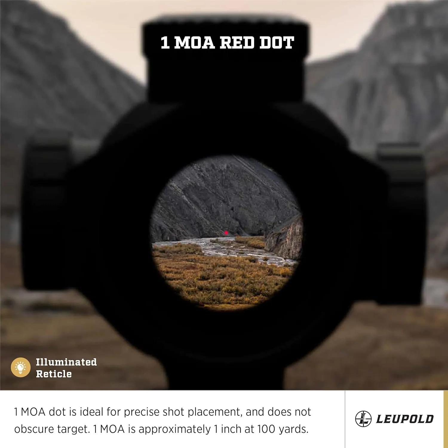 Leupold Freedom RDS
