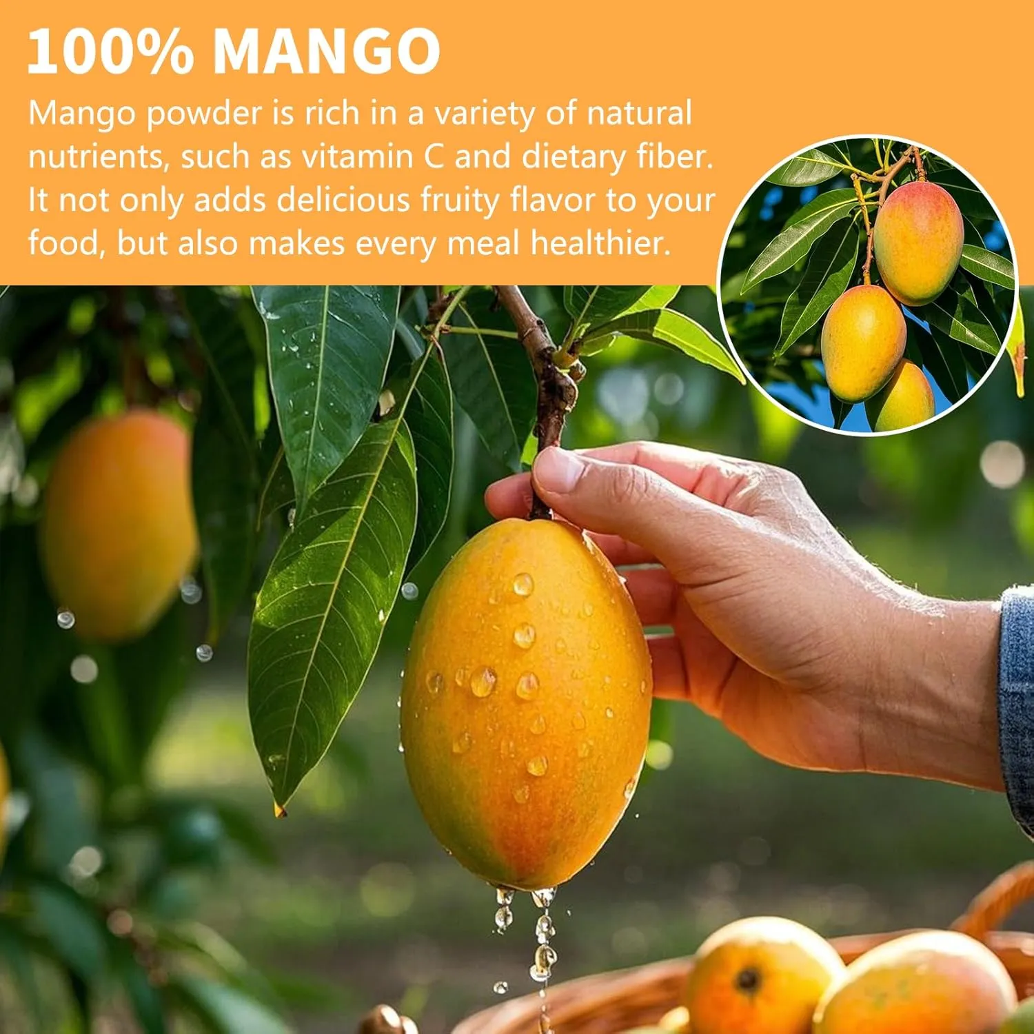 Mango Powder, Freeze Dried Mango Powder, 9.52OZ/270G, No Sugar Added, No Additives, for Beverages, Smoothies, Juices, Drinks, Baking
