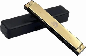 Music Lovers Harmonica C Tone Suitable For Beginners And Adults(Gold)