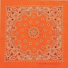 Neon Orange Paisley Bandana