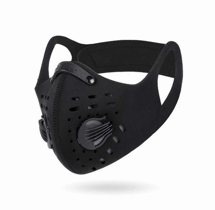 Premium Anti-Pollution Face Mask