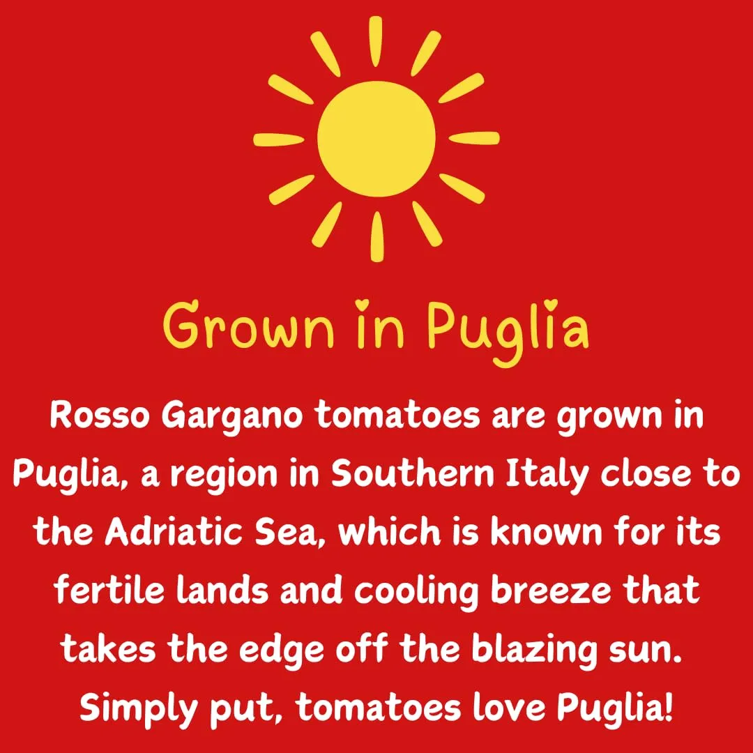 Rosso Gargano Cherry Tomatoes from Puglia - Freshly Packed - Authentic Italian Quality, GMO-Free, No Artificial Preservatives or Additives - 14.1oz (400g) - Pack of 6