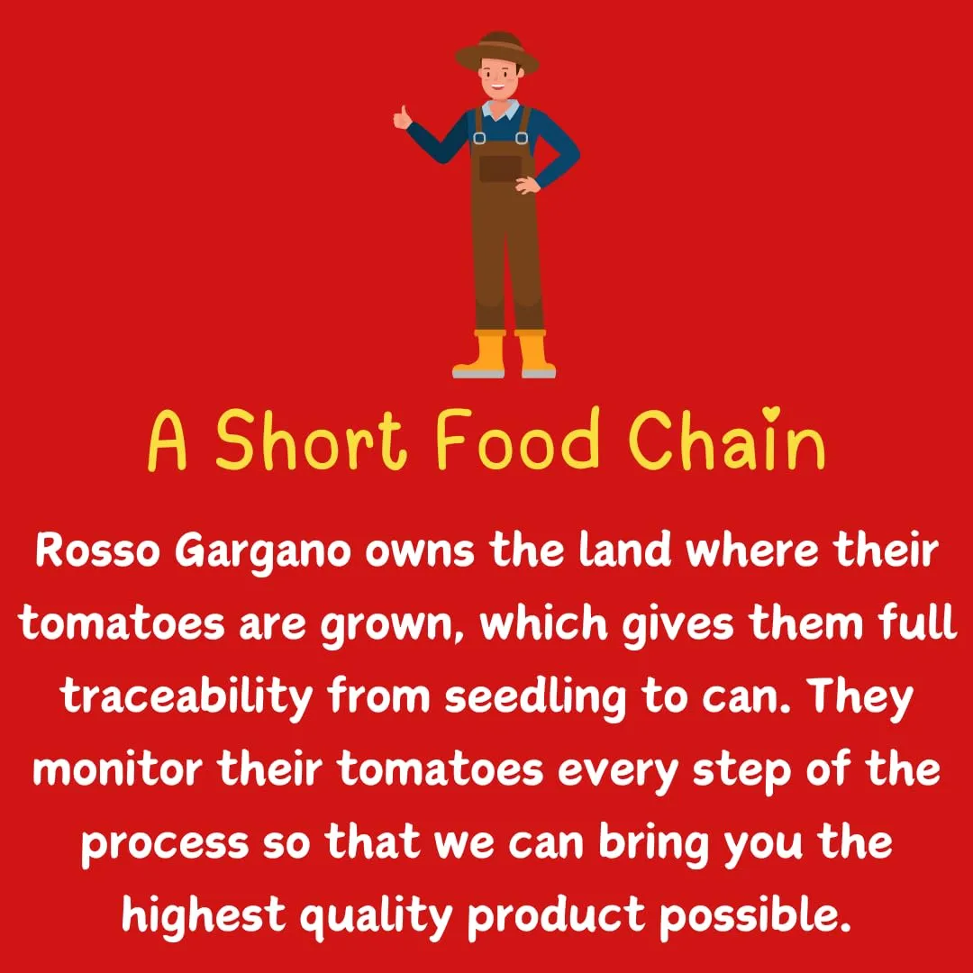 Rosso Gargano Cherry Tomatoes from Puglia - Freshly Packed - Authentic Italian Quality, GMO-Free, No Artificial Preservatives or Additives - 14.1oz (400g) - Pack of 6