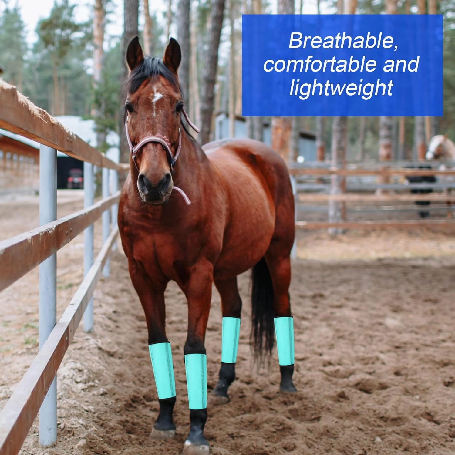 Set of 12 Mesh Fly Boots for Horse Breathable Mesh Horse Boots Protective Horse Leg Loose Wraps Horse Leggings for Preventing Flies and Mosquitoes Bites