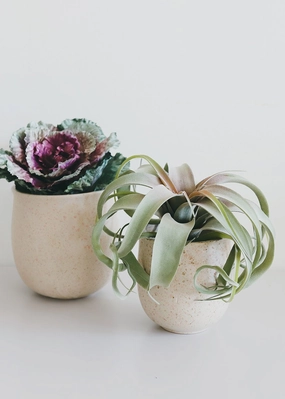 Set of 2 - Blush Terrazzo Flower Pots