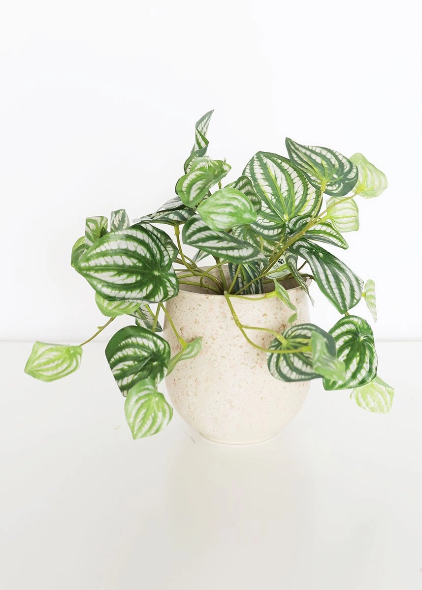 Set of 2 - Blush Terrazzo Flower Pots