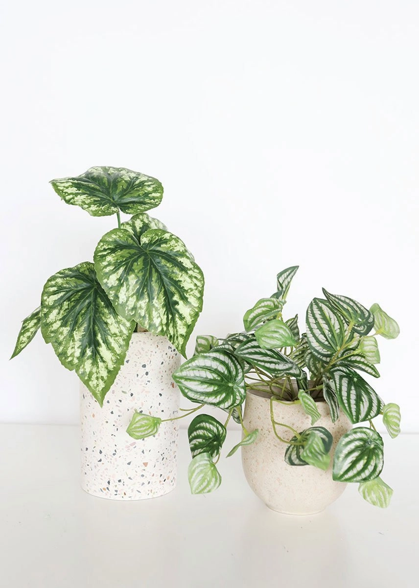 Set of 2 - Blush Terrazzo Flower Pots