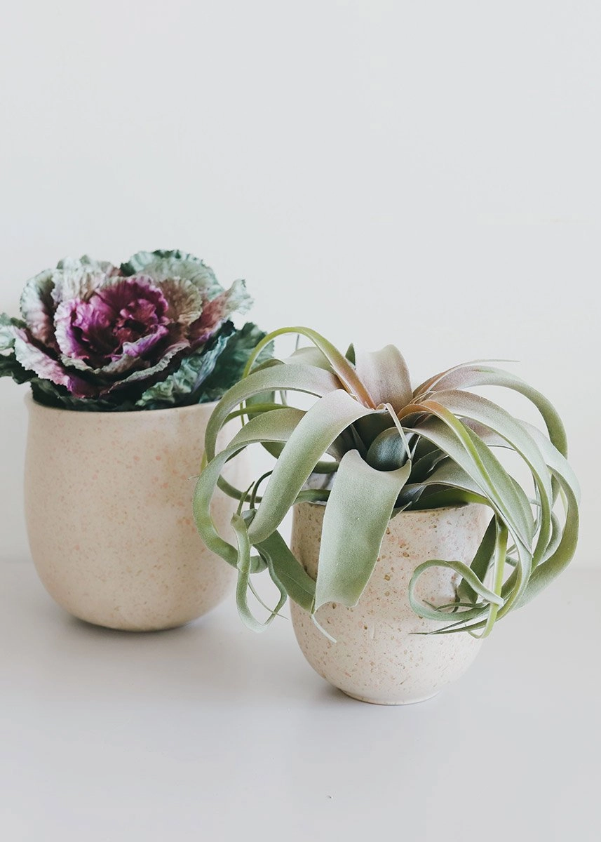 Set of 2 - Blush Terrazzo Flower Pots