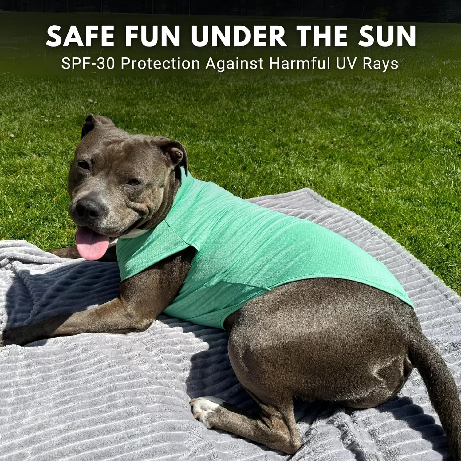 Spark Paws Dog T-Shirt, Quick Dry Soft Stretchy, Lightweight Breathable for Dogs with Sensitive Skin - Peach & Mint (Set of 2) - 3XL