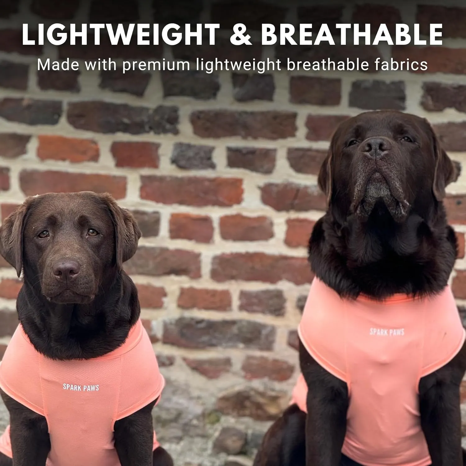 Spark Paws Dog T-Shirt, Quick Dry Soft Stretchy, Lightweight Breathable for Dogs with Sensitive Skin - Peach & Mint (Set of 2) - M