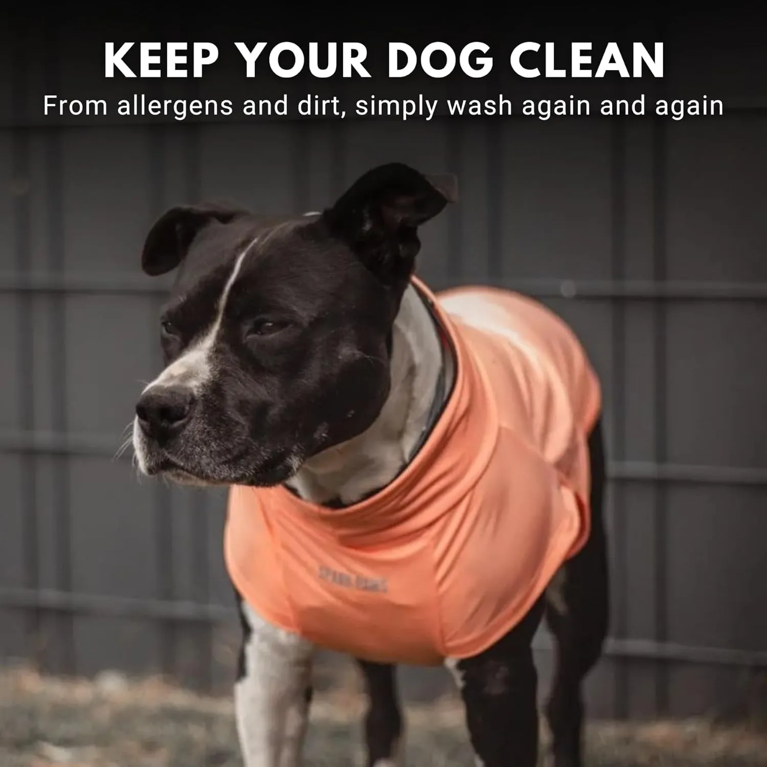 Spark Paws Dog T-Shirt, Quick Dry Soft Stretchy, Lightweight Breathable for Dogs with Sensitive Skin - Purple & Peach (Set of 2) - M