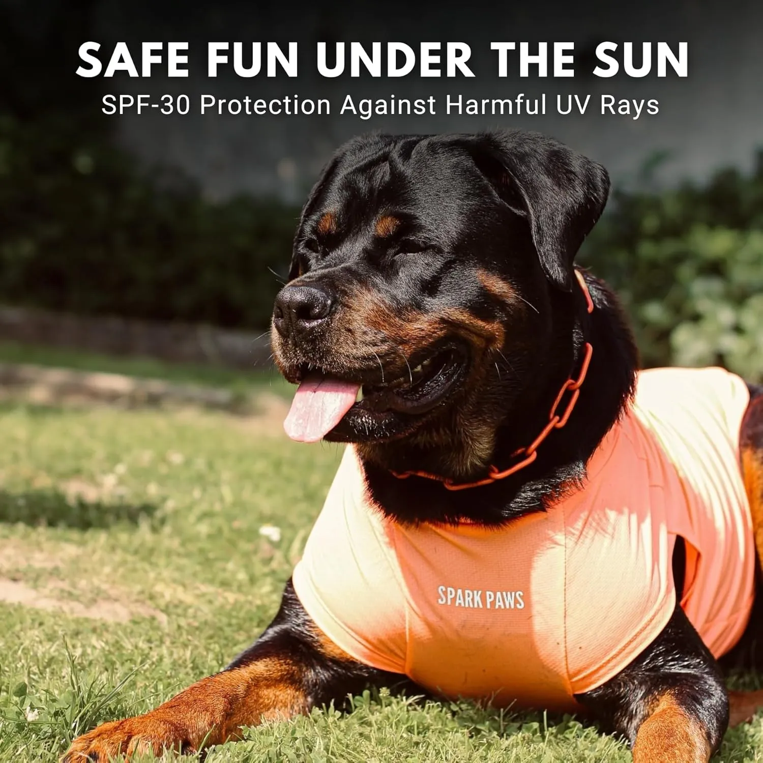 Spark Paws Dog T-Shirt, Quick Dry Soft Stretchy, Lightweight Breathable for Dogs with Sensitive Skin - Purple & Peach (Set of 2) - M